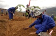 Lai Châu phát triển cao su đại điền 